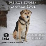 Da li je ovo stvarnost ?