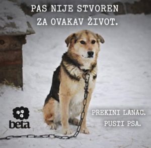 Da li je ovo stvarnost ?